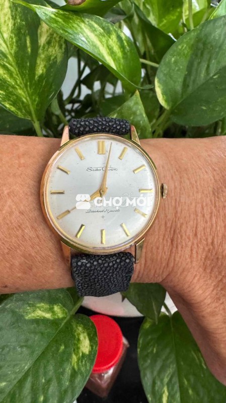 Seiko Crown cơ cót cổ