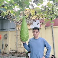 An Nguyễn Đức