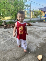 Bắc 85
