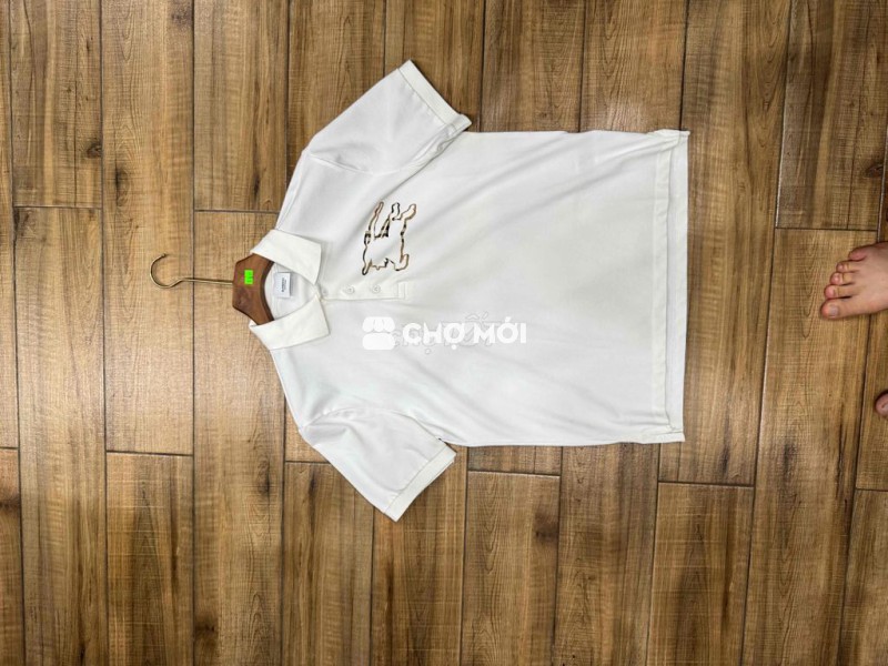 áo polo hiệu burrberrrry size L 70-80kg