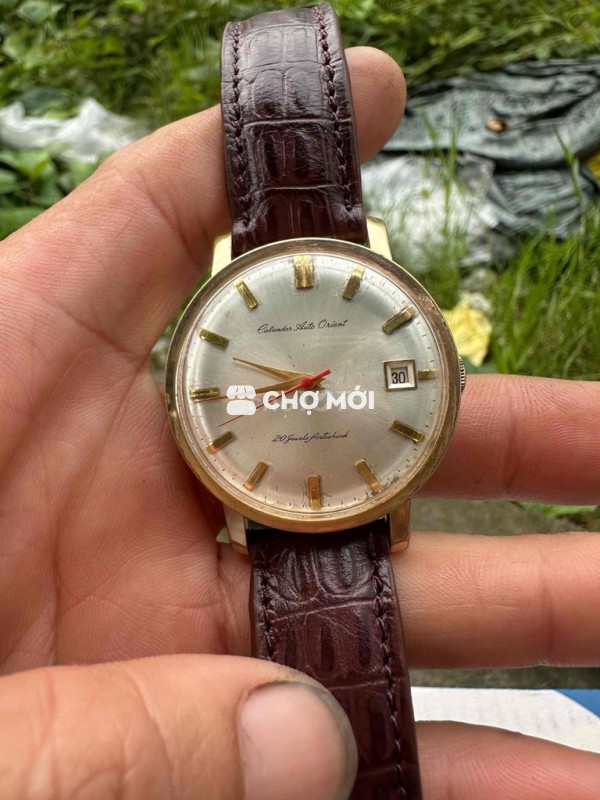 orient calenda auto size 37.5