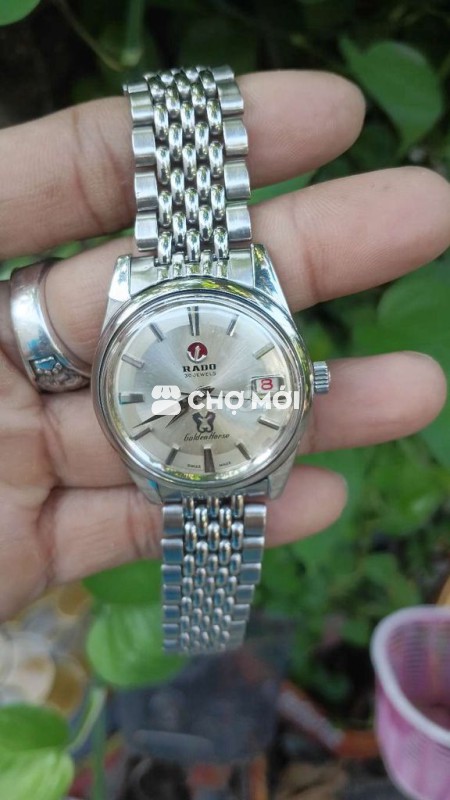 Rado golden horse automatic swiss
