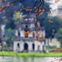 Phạm Thị  Yến