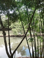 lê nguyễn