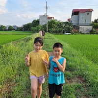 Thảo Hiền Nguyễn