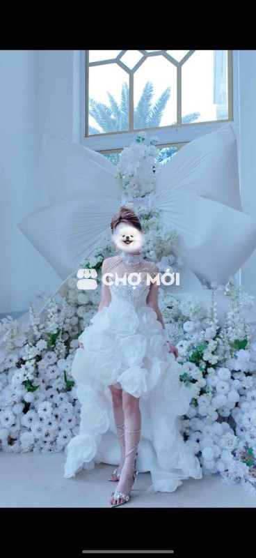 Váy dự tiệc kèm ảnh thật