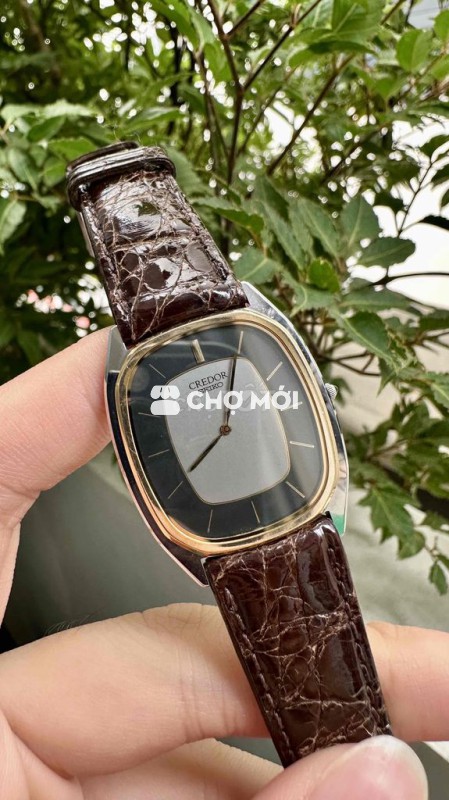 Đồng hồ tank Credor niềng đúc 14k vỏ đá