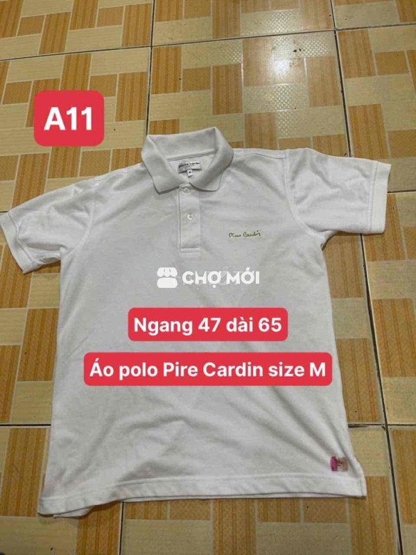 áo polo Pire cardin size M