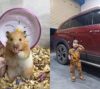 Diệu Lê 