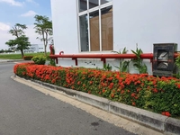 Liễu Huỳnh