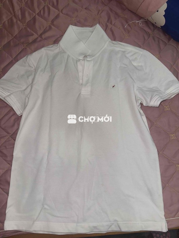 áo polo torano pass