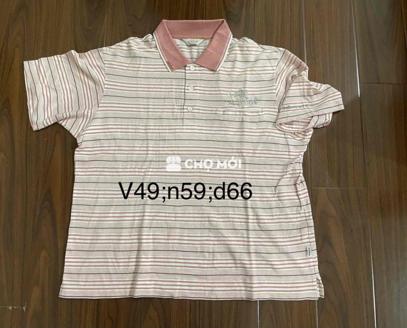 áo thun polo cotton Nhật size XL