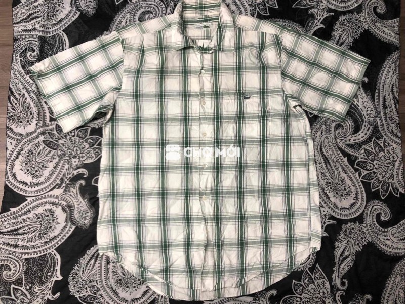 Lacoste Chemise sơmi 70-80kg