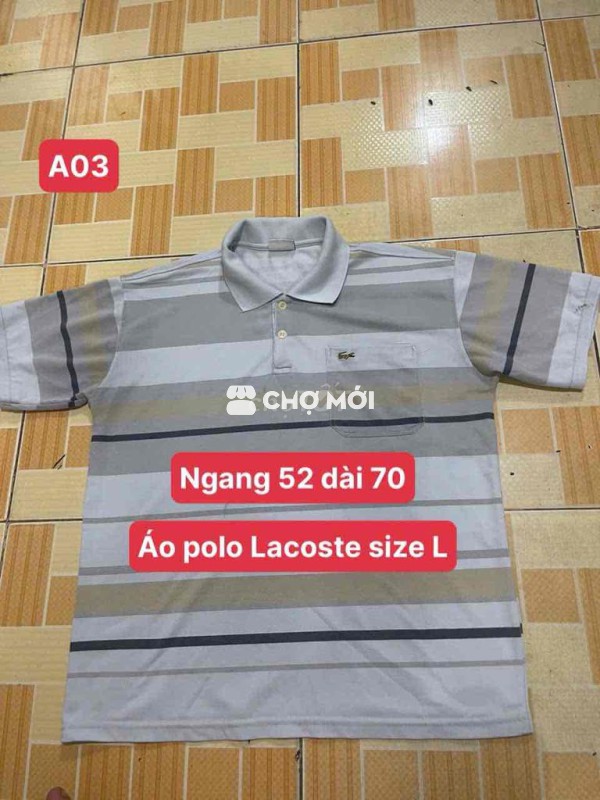 áo polo Lacoste size L