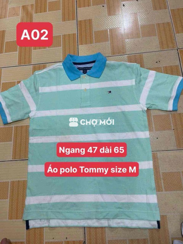áo polo Tomy size M
