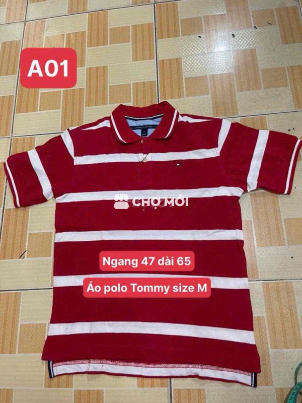 áo polo Tomy size M