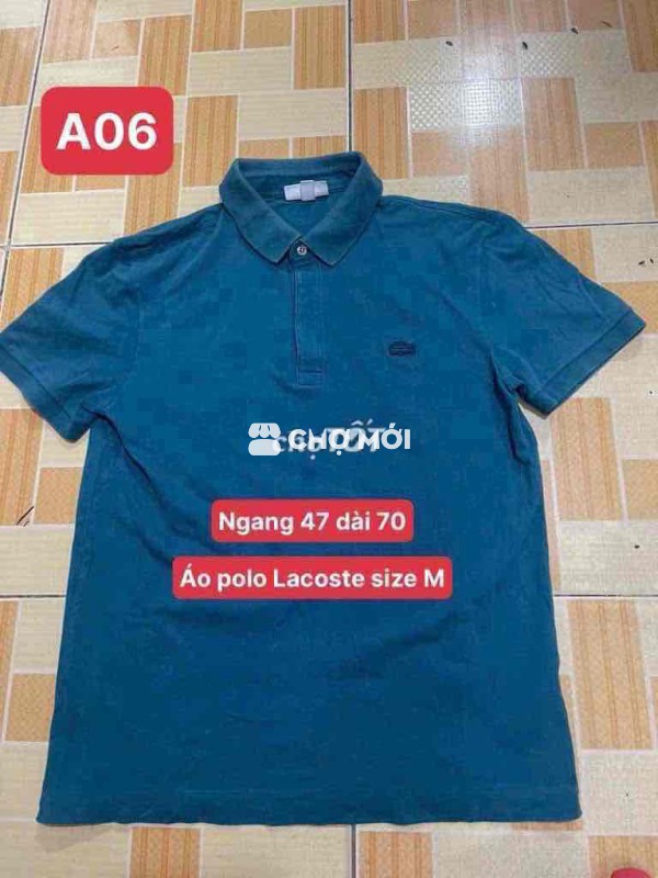 áo polo Lacoste size M