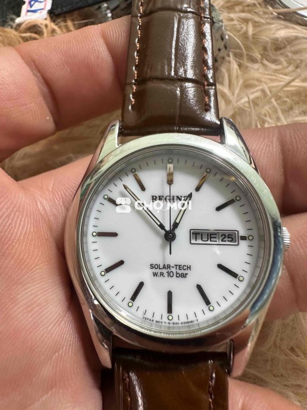 REGUNO citizen, pin solar siêu khởe, đẹp keng zin