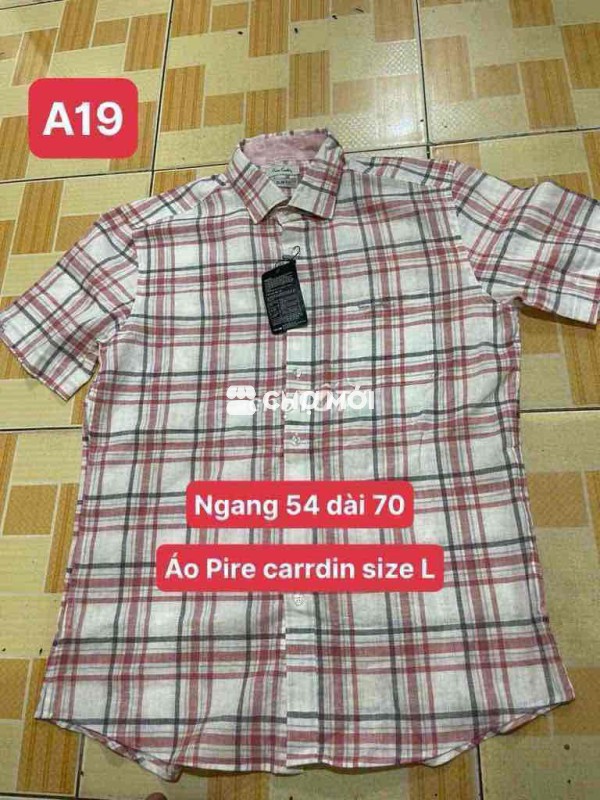 2 áo Pire Cardin size L
