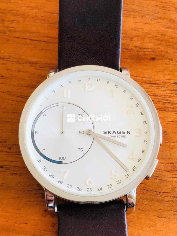 Skagen hybird hiếm