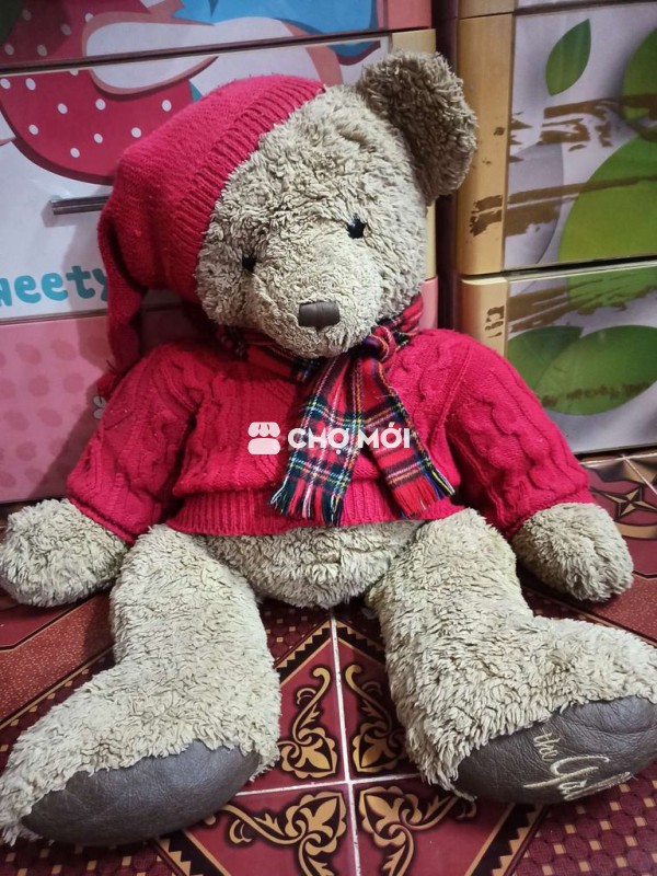 Thanh lý em gấu Teddy xịn size to