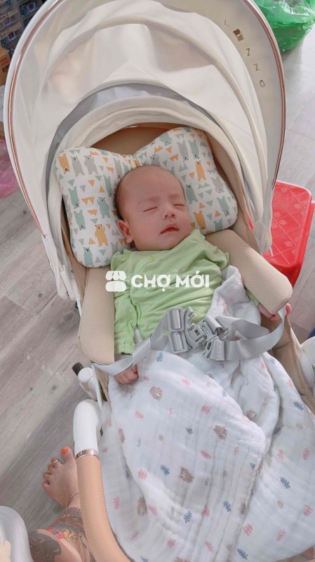 Thanh Lí Xe đẩy vinng q7 còn mới