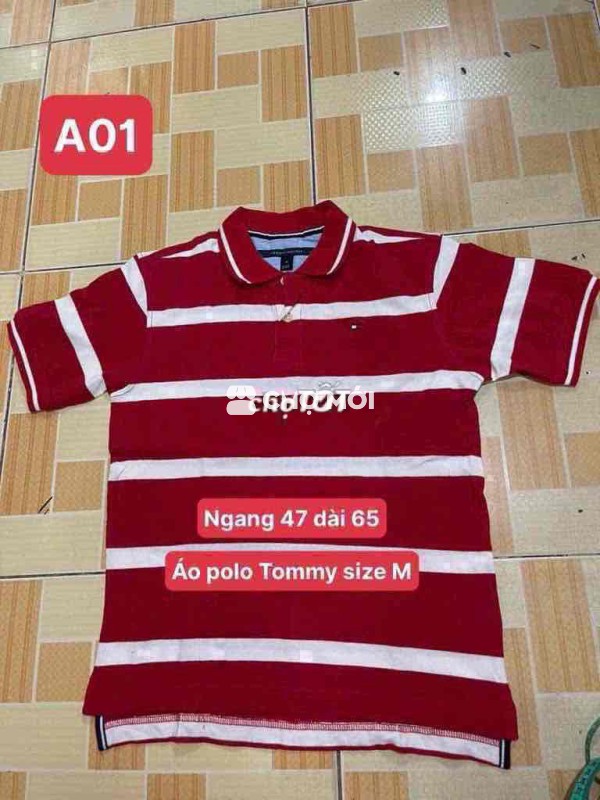 Áo polo Tomy size M