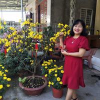 Nguyễn Phú Hữu