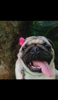 Bảo
