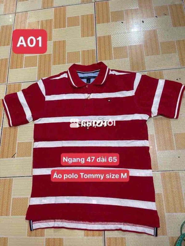 Áo polo tomy size M