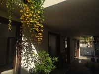 Cửa