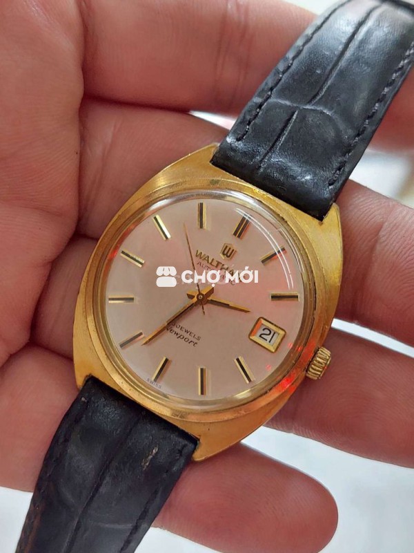 Waltham thụy sĩ