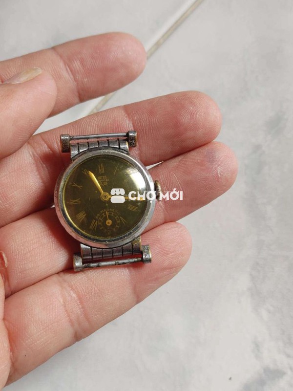 Đh cơ cót kim rốn cổ quai chảo