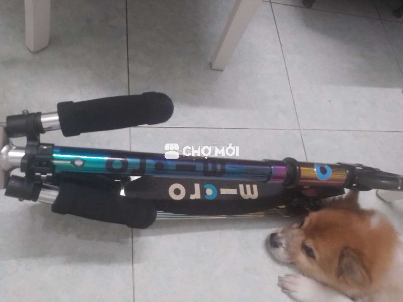 Xe trượt scooter Micro