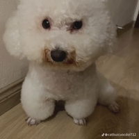 Hưng
