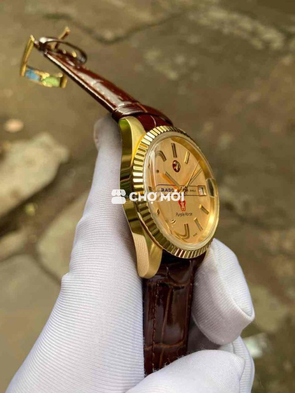 Đồng hồ Rado Purple Horse vàng nam