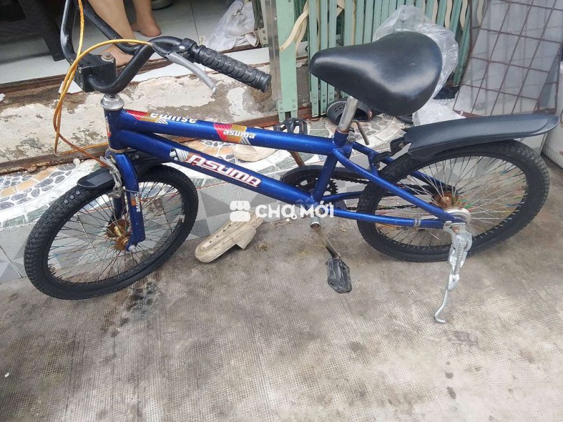 Xe đạp Asama 20in 7đến 12 tuổi