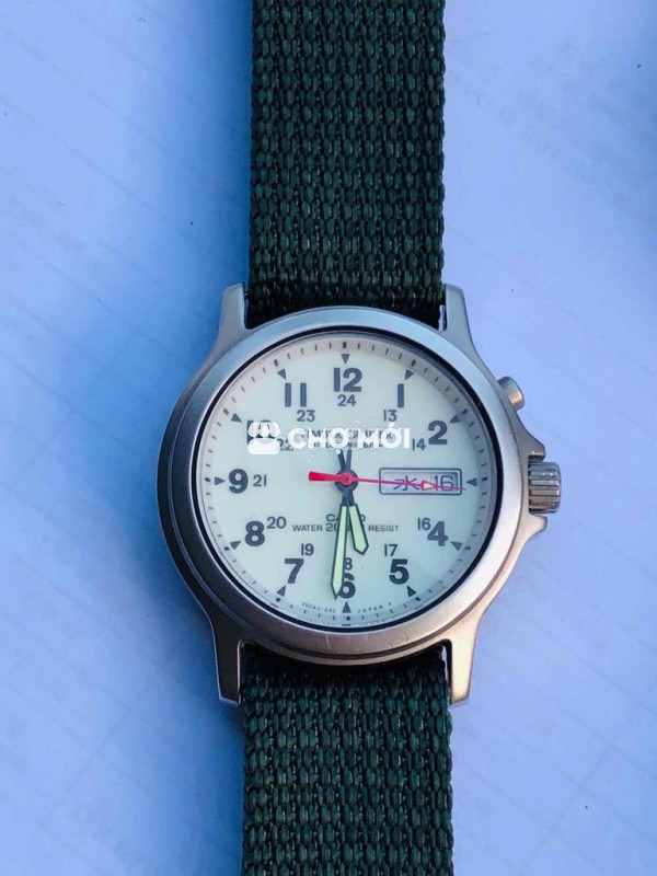 Casio Timber Cruise