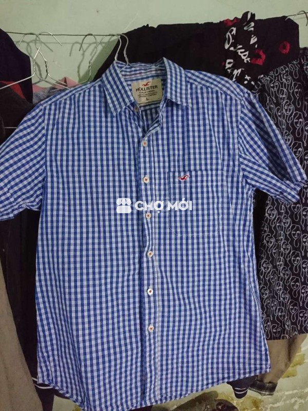 Sơmi ngắn hollister