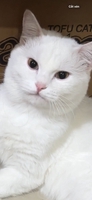 Hồng My