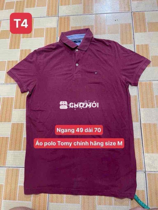 Áo polo Tomy size M