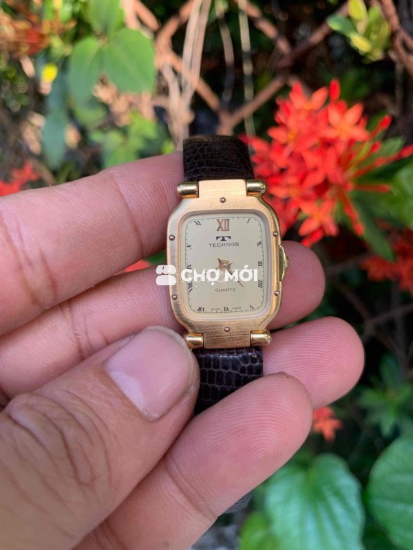 đồng hồ technos Thuỵ sỹ size 20x29