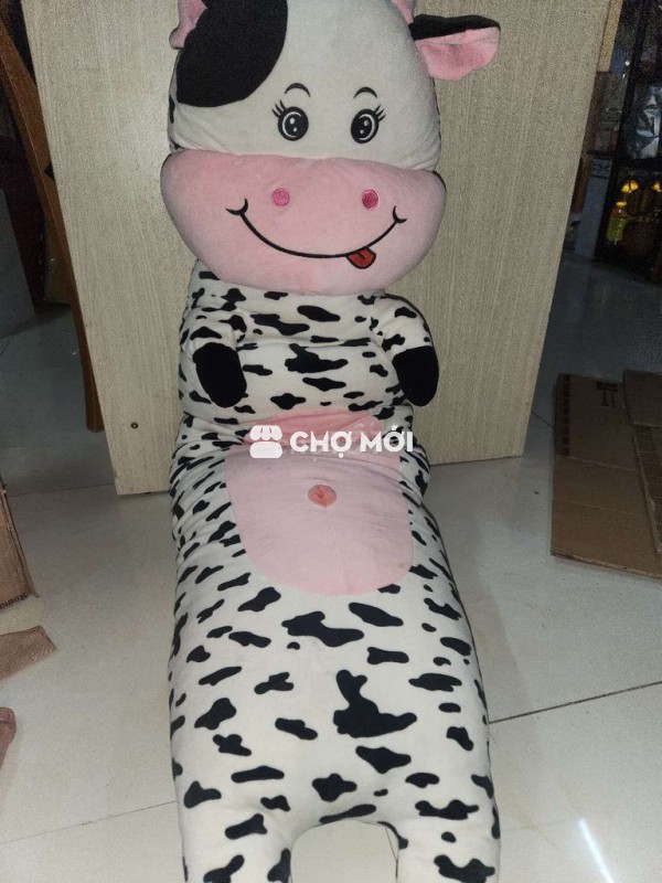 Gấu bông cũ