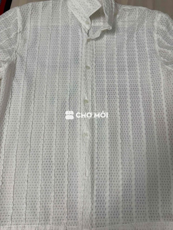 SƠ MI DG SIZE M 110K