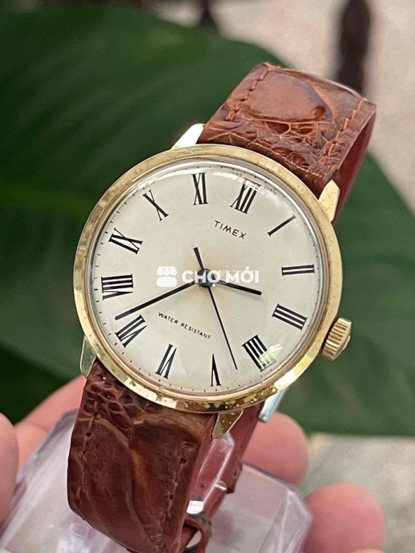 Timex cơ lên dây