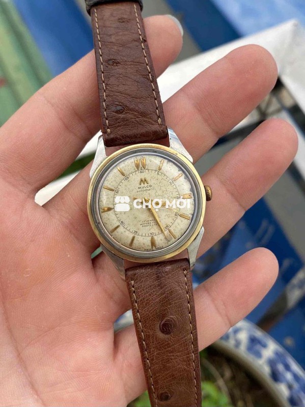 Mulc0 Automatic Niềng Đúc 14k Thụy Sĩ 01