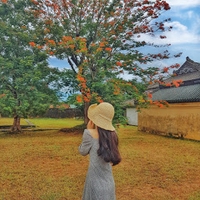 Hương Nguyễn