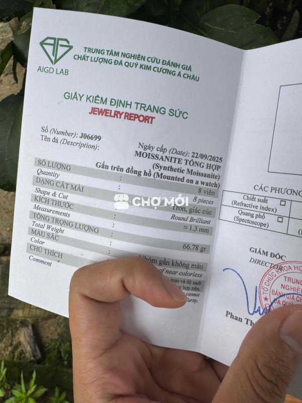 đồng hồ cá rô . Automatic