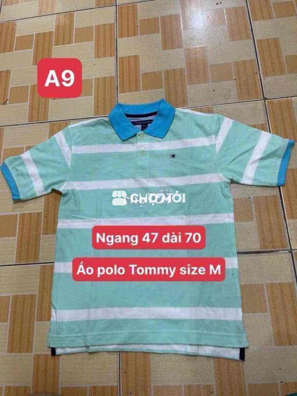áo polo Tomy size M