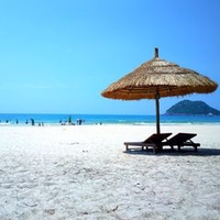 Nguyễn Mạnh Dũng